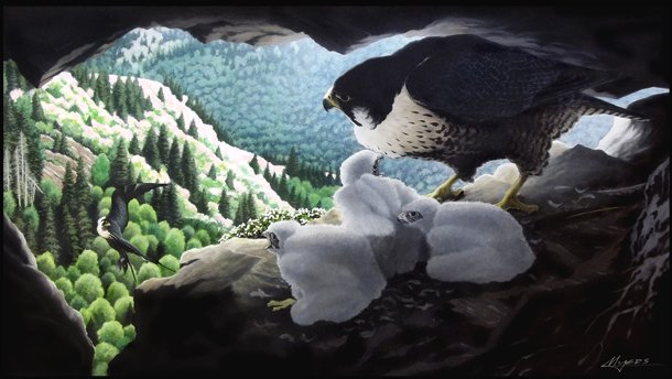 Chris Myers: 65th Annual Spring Wildflower Pilgrimage Artist-of-the-Year