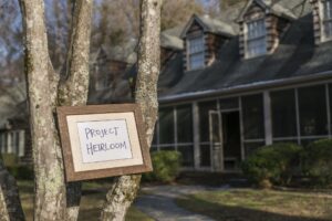 FREE family portraits for Sevier County fire survivors!