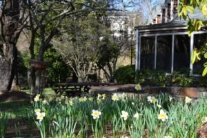Introducing Arrowmont’s 2017-2018 Artists-in-Residence