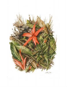 Bob George: 68th Annual Spring Wildflower Pilgrimage Artist-of-the-Year
