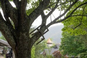 Arrowmont announces anonymous gift providing stipends to 2020 instructors