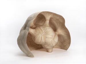 Spring Wildflower Pilgrimage | Wolpert Gallery