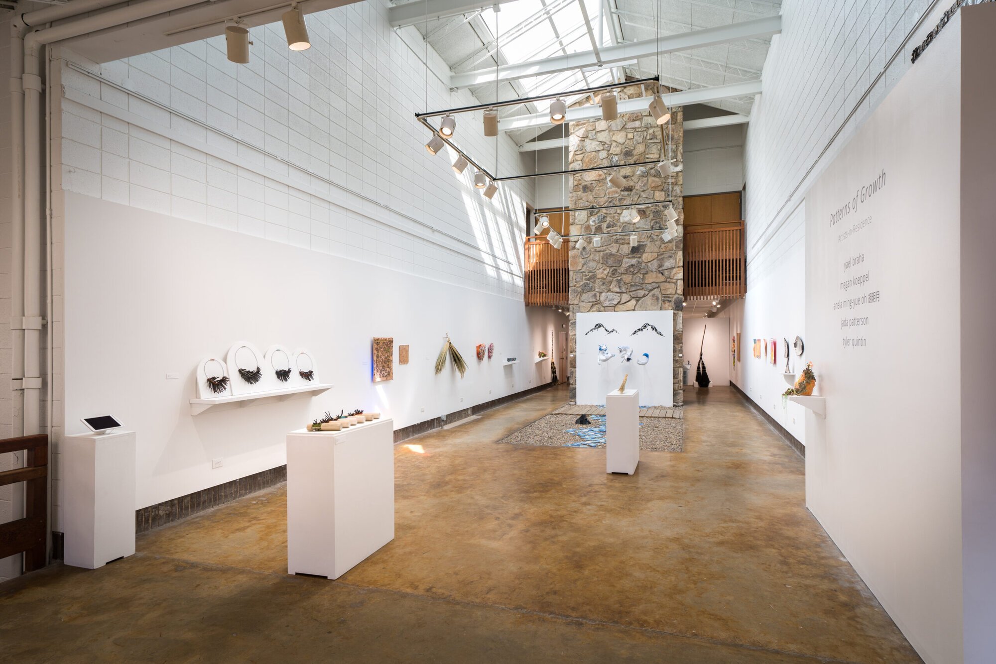 Patterns of Growth, Artists in Residence Exhibit