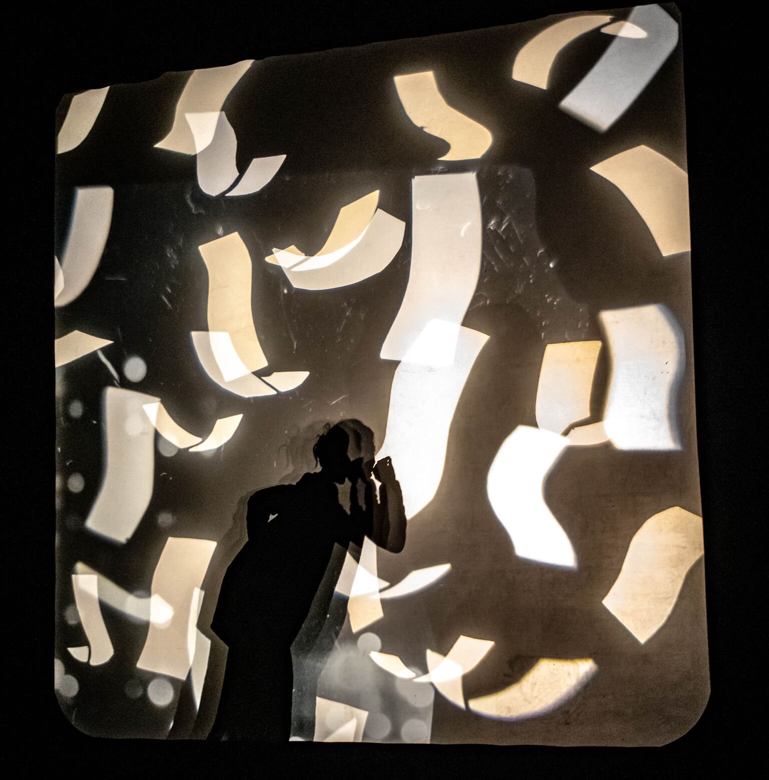 Andrew Young | Shadow Puppets